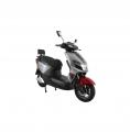  Forte RANGER -